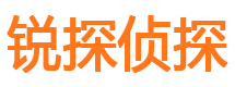 开原市私家侦探